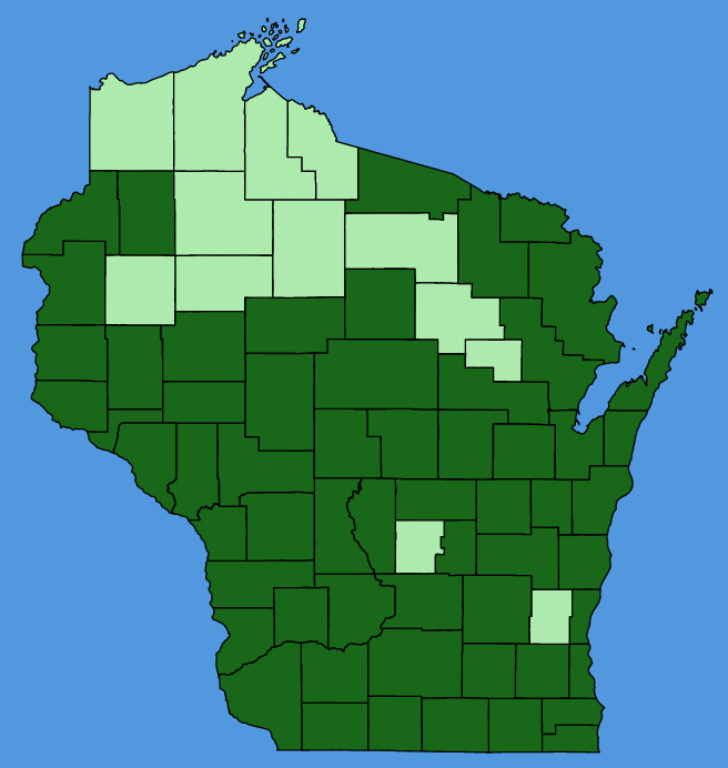 map-wis-Teucrium-canadense.JPG