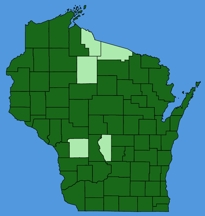 map-wis-Thalictrum-dioicum.JPG