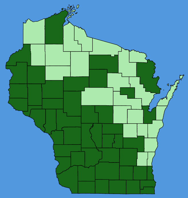 map-wis-Tradescantia-ohiensis.JPG