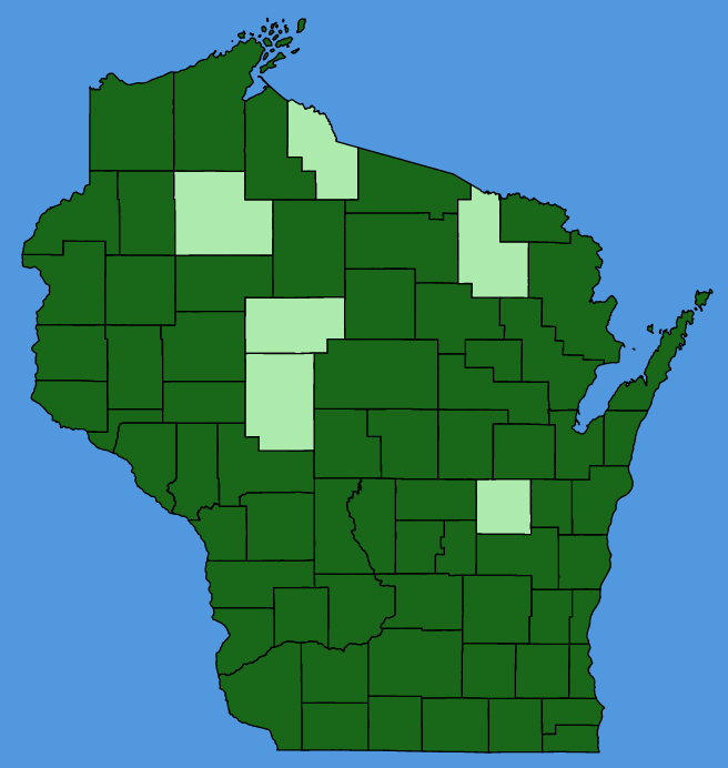map-wis-Tragopogon-dubius.JPG