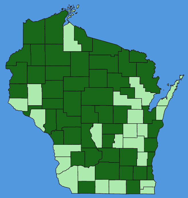 map-wis-Trifolium-arvense.JPG