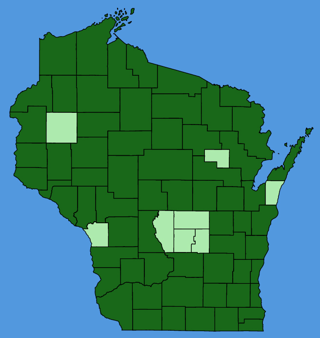 map-wis-Trifolium-hybridum.JPG