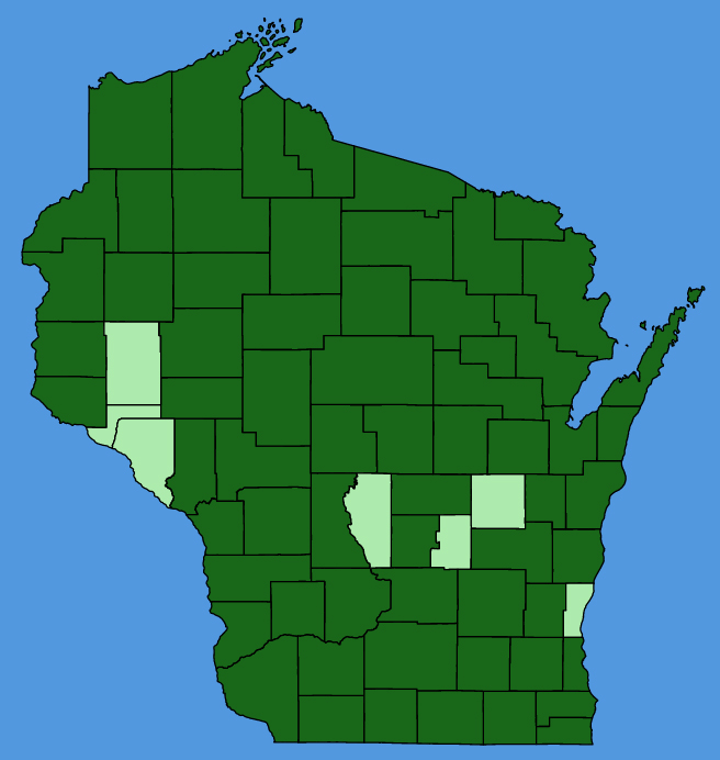 map-wis-Trifolium-repens.JPG