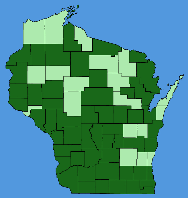 map-wis-Verbena-bracteata.JPG