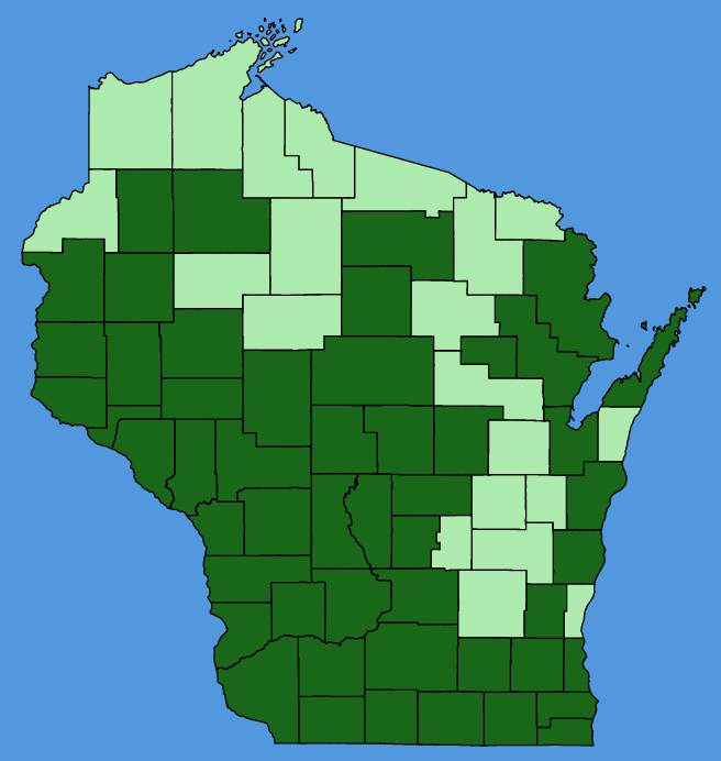 map-wis-Verbena-stricta.JPG