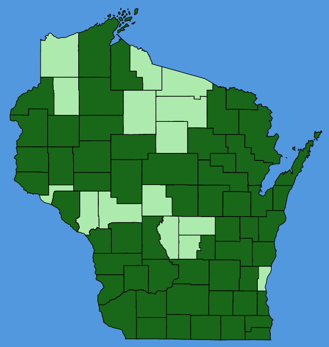 map-wis-Verbena-urticifolia.JPG