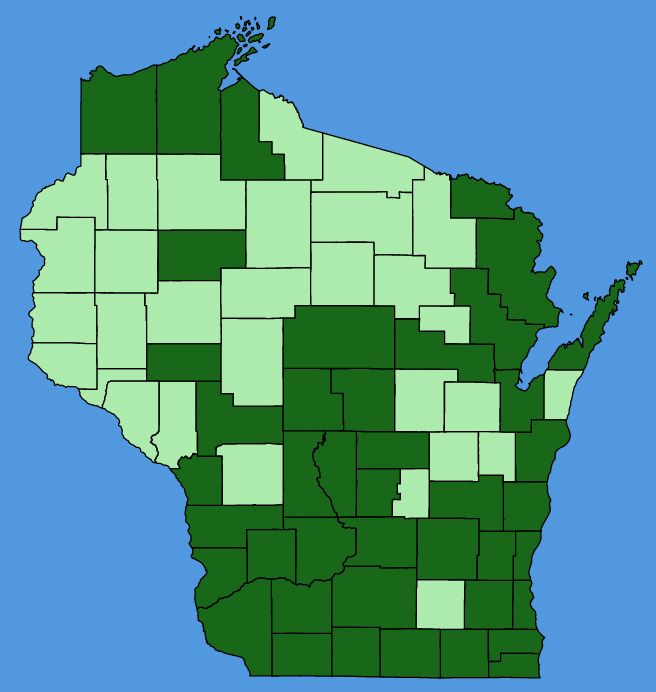 map-wis-Veronica-arvensis.JPG