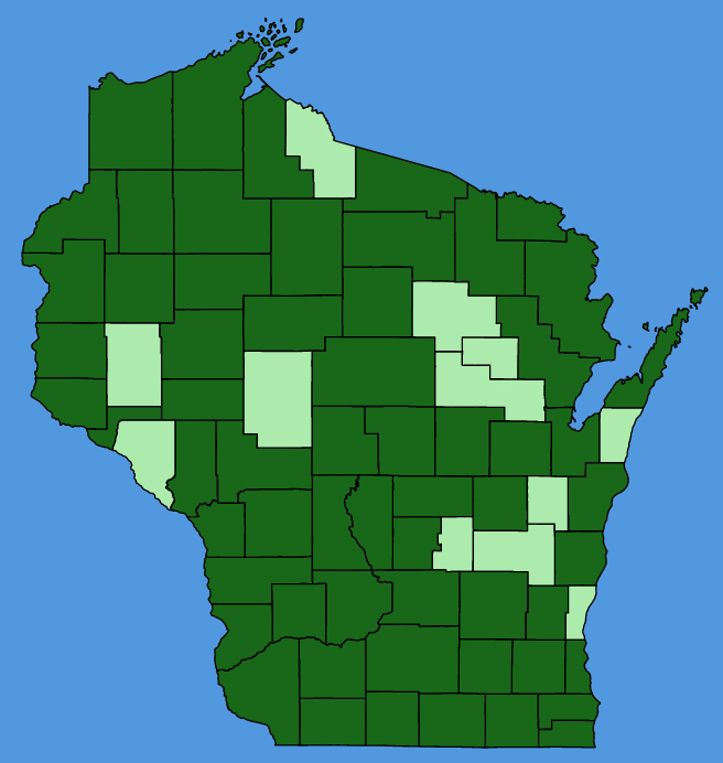 map-wis-Veronica-peregrina.JPG