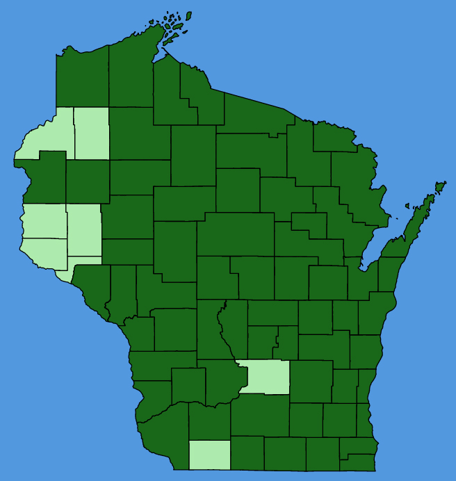 map-wis-Veronica-serpyllifolia.JPG