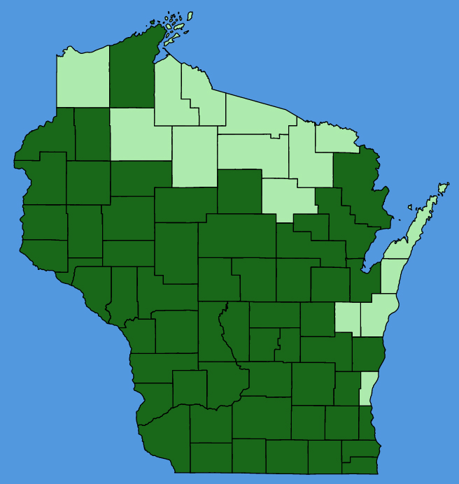 map-wis-Veronicastrum-virginicum.JPG