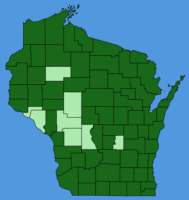 map-wis-Viburnum-opulus.JPG