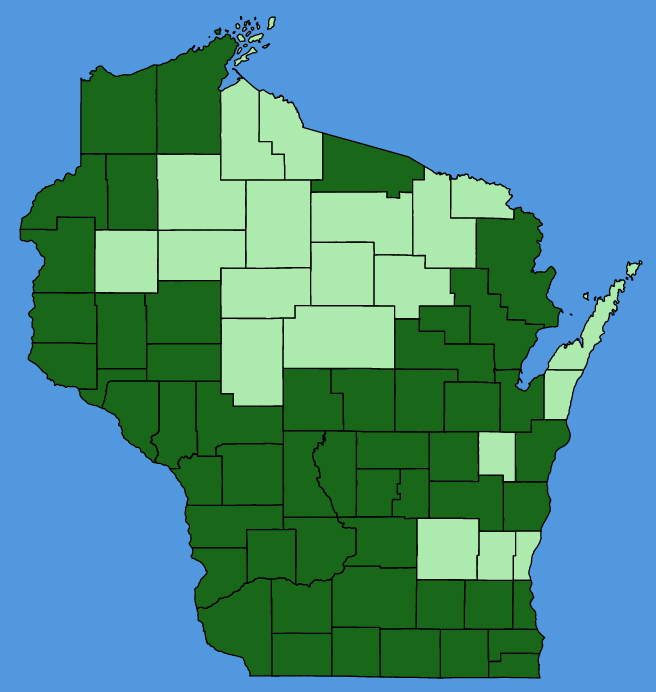 map-wis-Viola-pedata.JPG