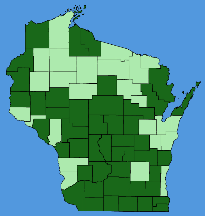 map-wis-Viola-sagittata.JPG