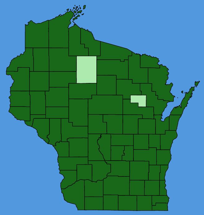 map-wis-Viola-sororia.JPG