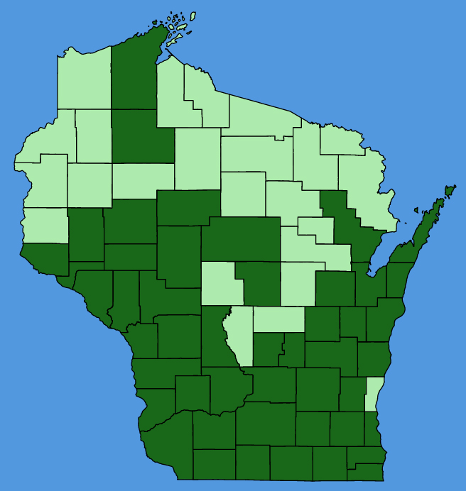 map-wis-wf-Abutilon-theophrasti.JPG