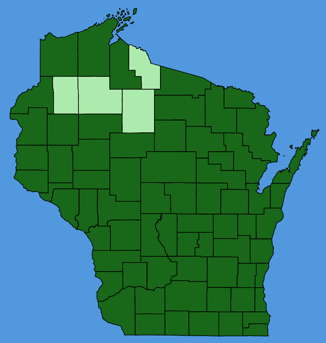 map-wis-wf-Acer-negundo.JPG