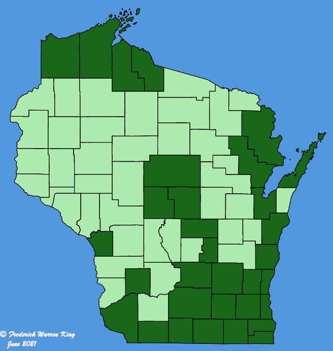 map-wis-wf-Acer-platanoides.JPG