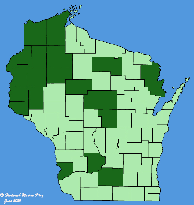 map-wis-wf-Agastache-foeniculum.JPG