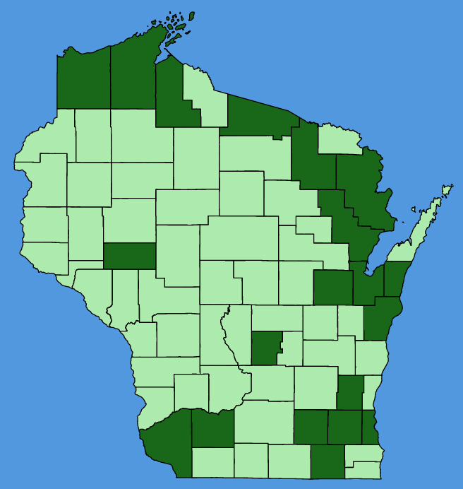 map-wis-wf-Ajuga-genevensis.JPG