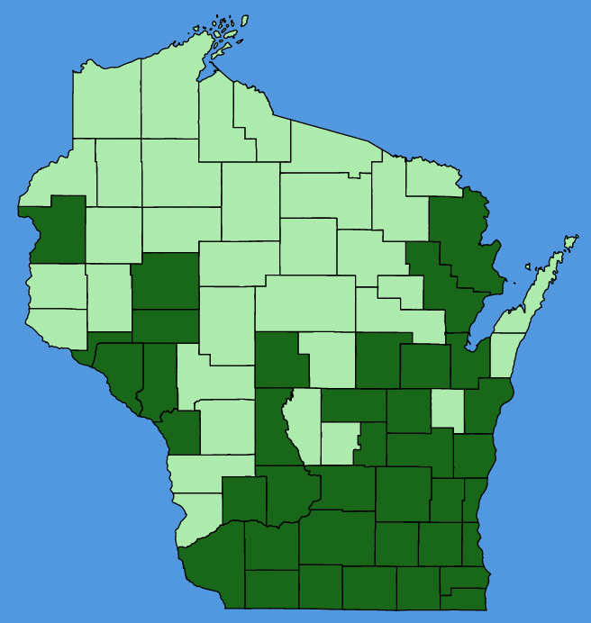 map-wis-wf-Allium-canadense.JPG