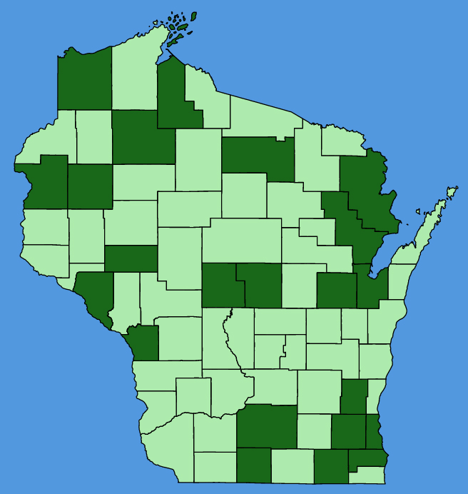 map-wis-wf-Allium-schoenoprasum.JPG