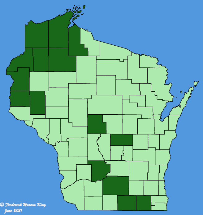 map-wis-wf-Allium-stellatum.JPG