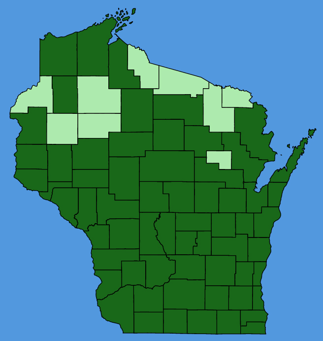 map-wis-wf-Amaranthus-retroflexus.JPG