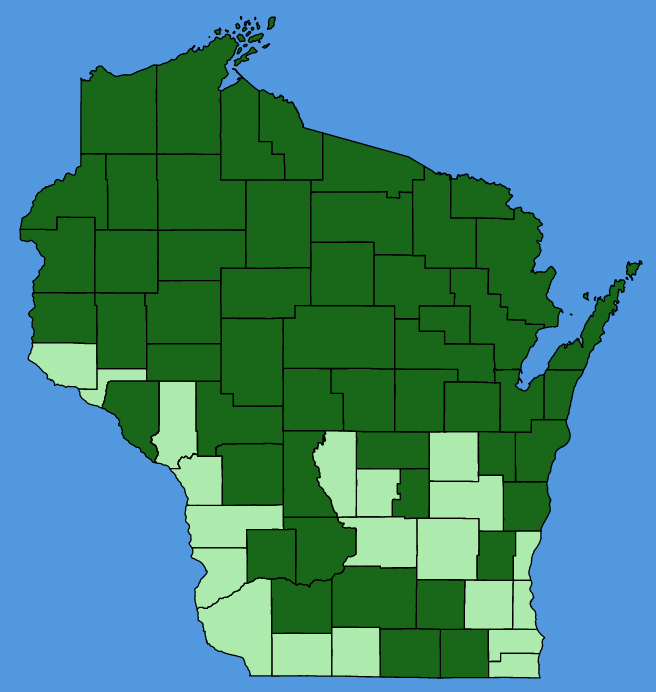 map-wis-wf-Anaphalis-margaritacea.JPG