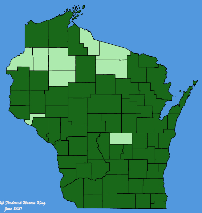 map-wis-wf-Anthemis-cotula.JPG