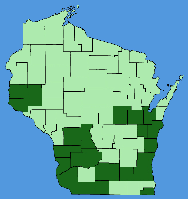 map-wis-wf-Aplectrum-hyemale.JPG