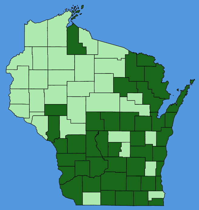 map-wis-wf-Arenaria-serpyllifolia.JPG