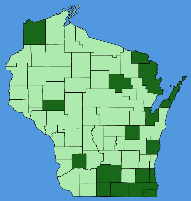 map-wis-wf-Artemisia-vulgaris.JPG
