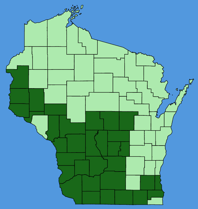 map-wis-wf-Baptisia-bracteata.JPG