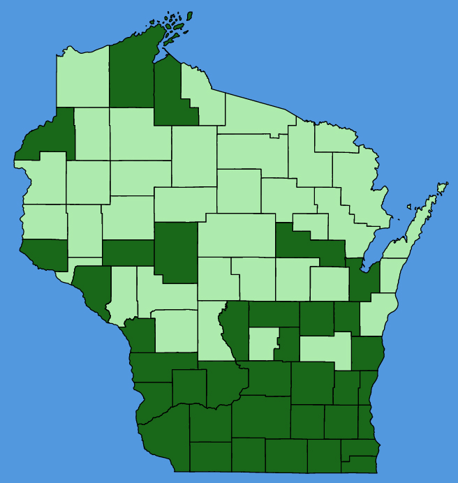 map-wis-wf-Brassica-nigra.JPG