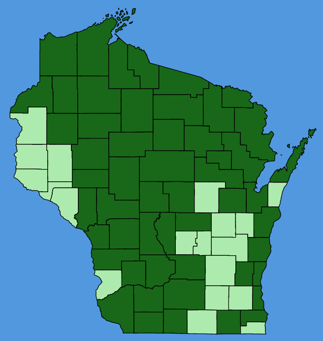 map-wis-wf-Calystegia-spithamaea.JPG