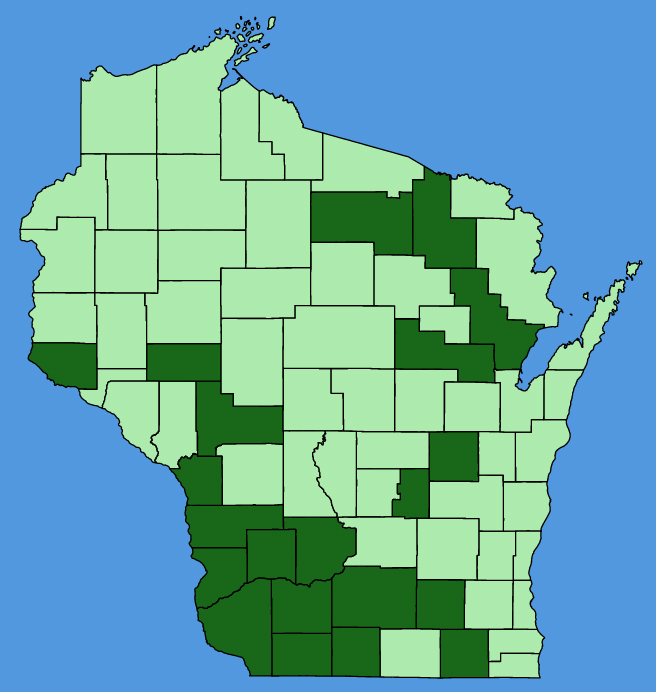 map-wis-wf-Carduus-acanthoides.JPG