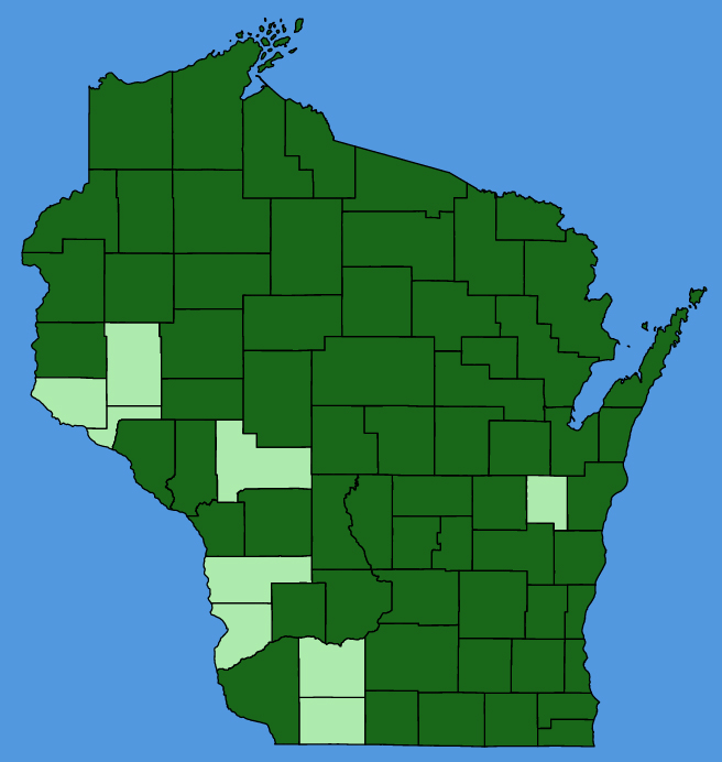 map-wis-wf-Carex-comosa.JPG