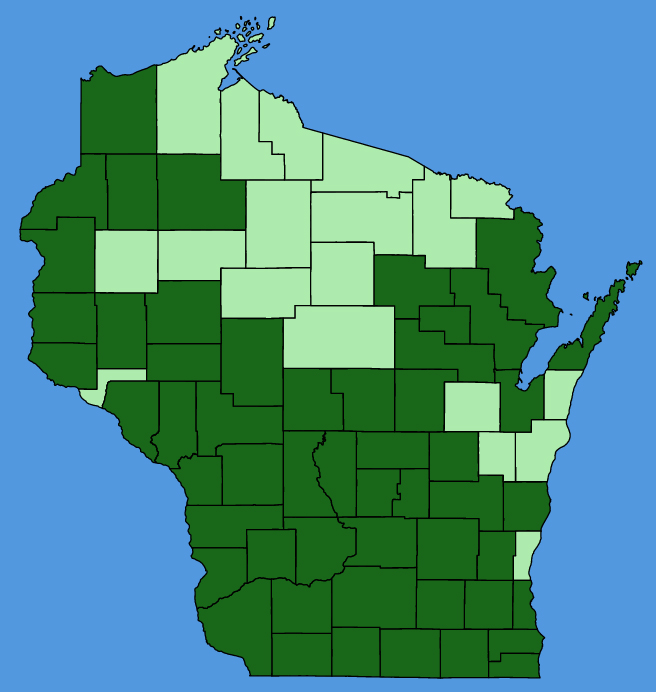 map-wis-wf-Ceanothus-americanus.JPG