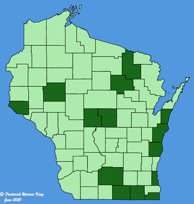 map-wis-wf-Centaurea-cyanus.JPG
