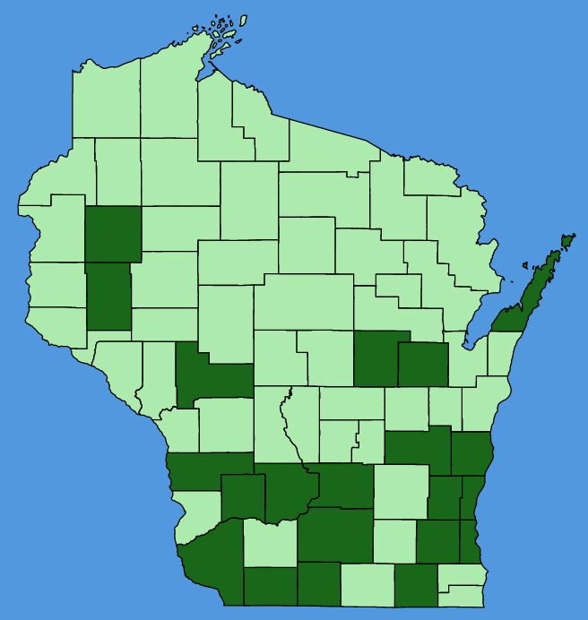 map-wis-wf-Chelidonium-majus.JPG