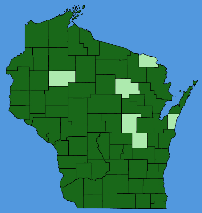 map-wis-wf-Comandra-umbellata.JPG