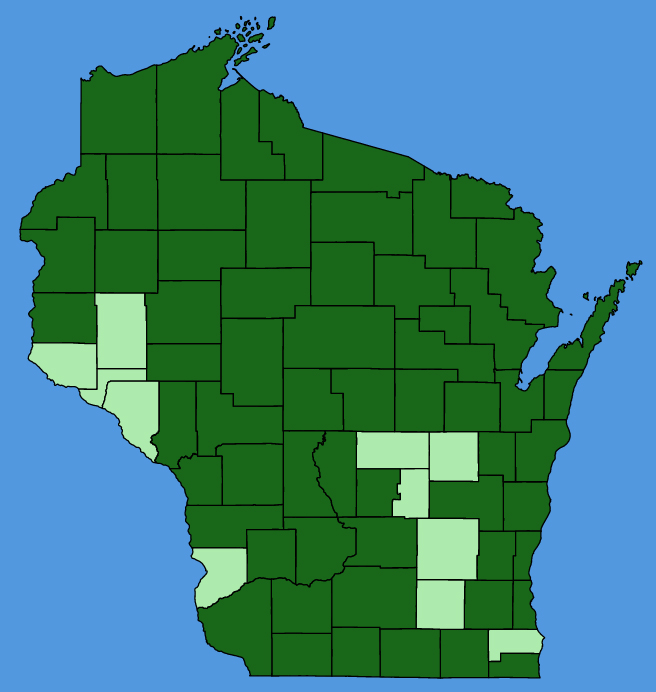 map-wis-wf-Cornus-canadensis.JPG