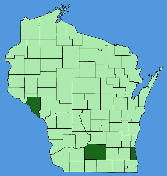 map-wis-wf-Cosmos-bipinnatus.JPG