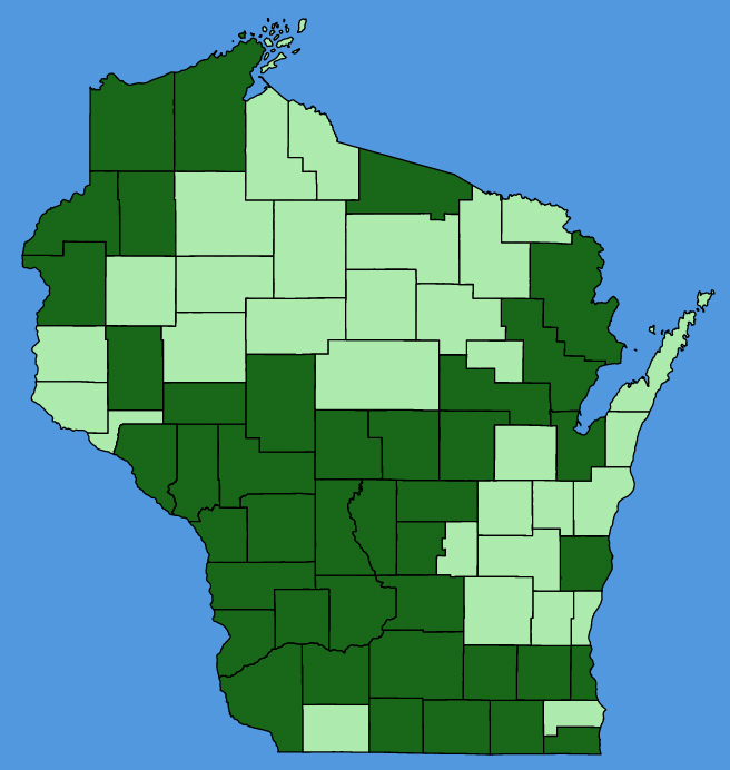 map-wis-wf-Crocanthemum-canadense.JPG