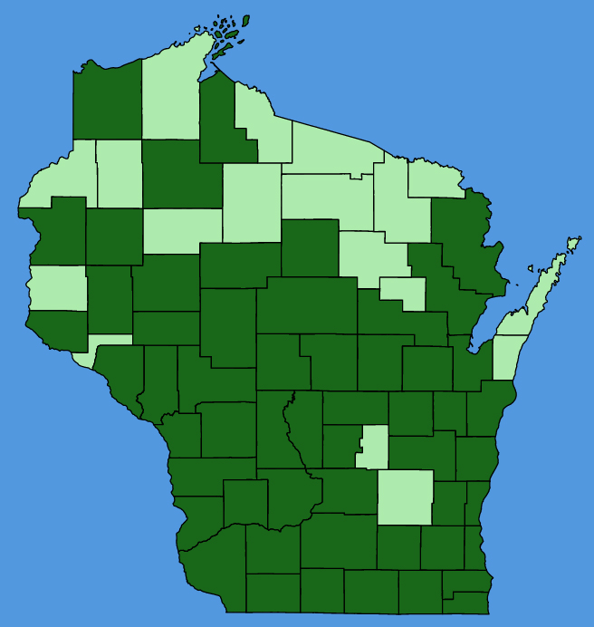 map-wis-wf-Cuscuta-gronovii.JPG