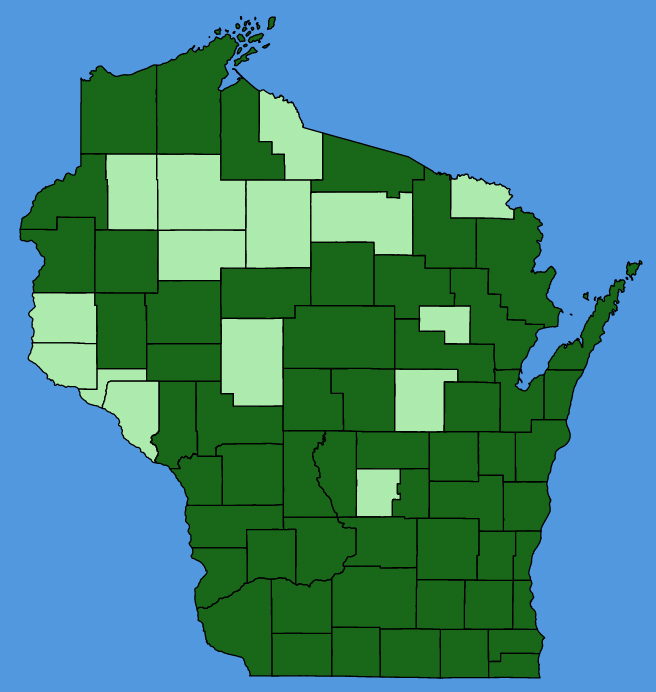 map-wis-wf-Daucus-carota.JPG