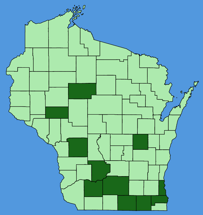 map-wis-wf-Delphinium-ajacis.JPG