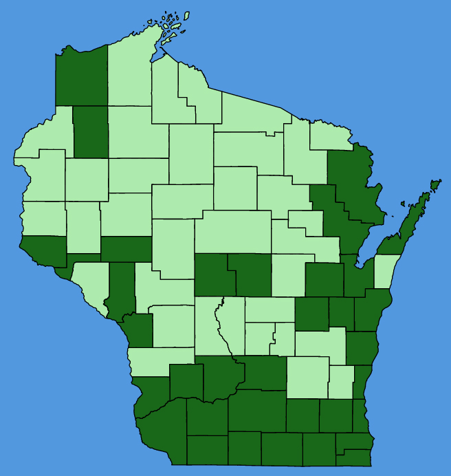 map-wis-wf-Descurainia-pinnata.JPG
