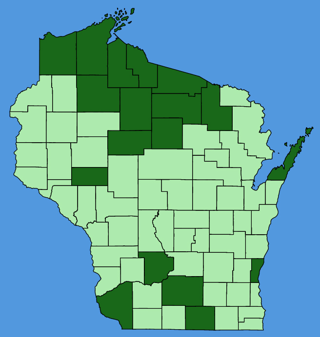 map-wis-wf-Dianthus-barbatus.JPG