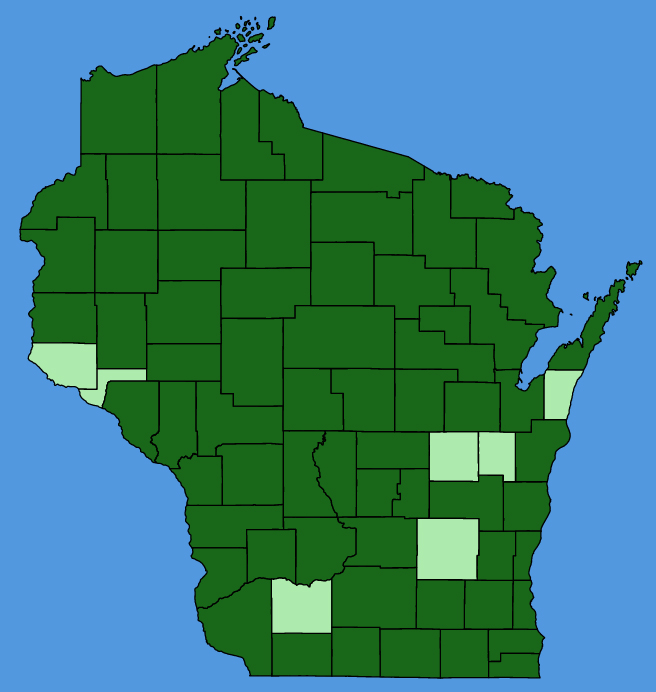 map-wis-wf-Doellingeria-umbellata.JPG